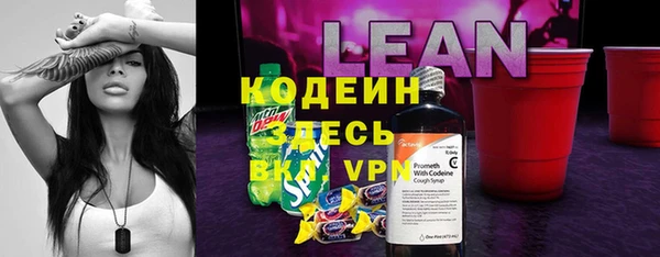 первитин Инта