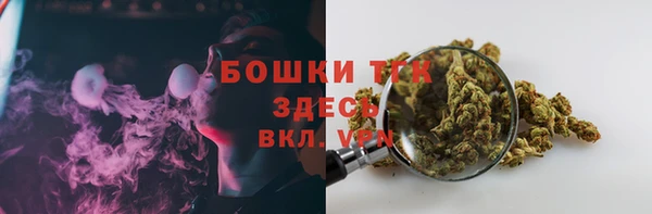 первитин Инта
