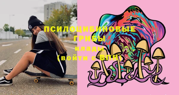 первитин Инта