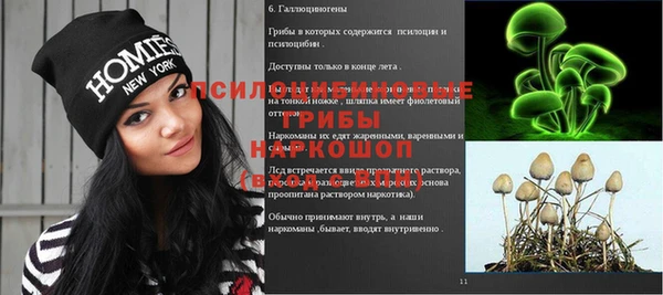 первитин Инта
