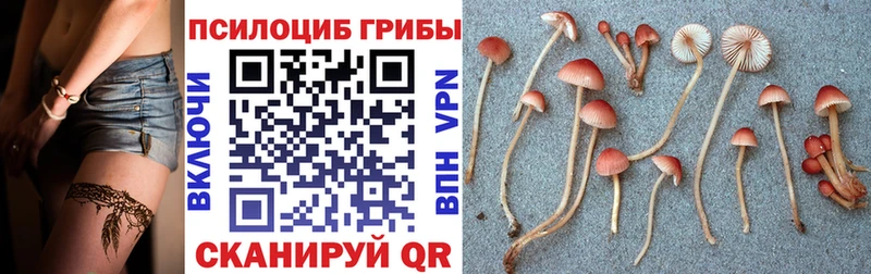 Галлюциногенные грибы мухоморы  Купить закладки  Жуковский 
